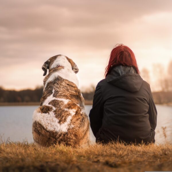 Explore with that person; so you can create better Relationships.